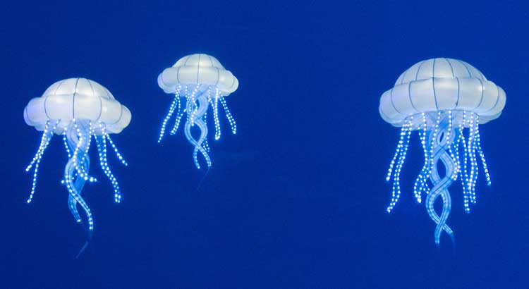 Do Sea Turtles Eat Jellyfish ?