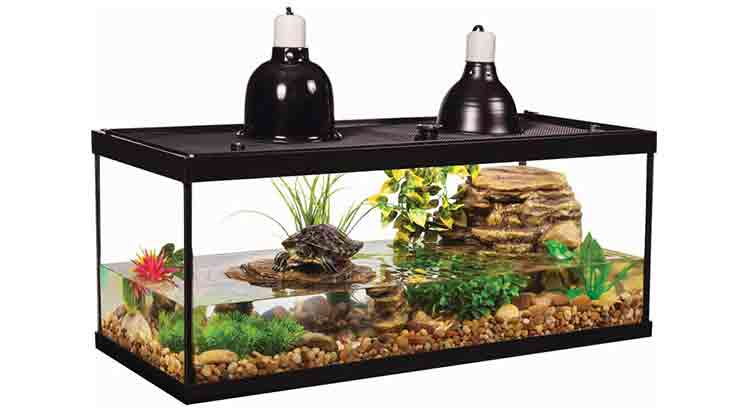 How Much Water to Put in a Turtle Tank